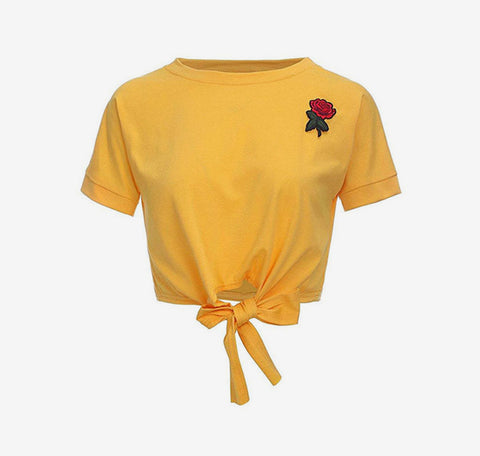 Praesent diam odio, pretium a elit vitae