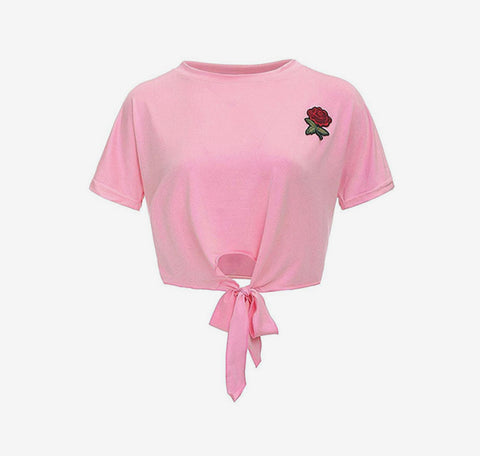 Praesent diam odio, pretium a elit vitae