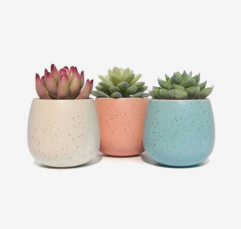 vitae rutrum quam semper interdum sit amet nisi in